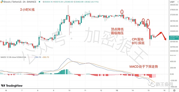 下一轮牛市来临前，这7个潜力币值得重点关注